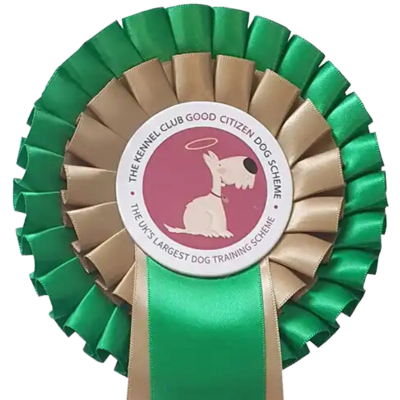 Kennel club good citizen scheme hot sale